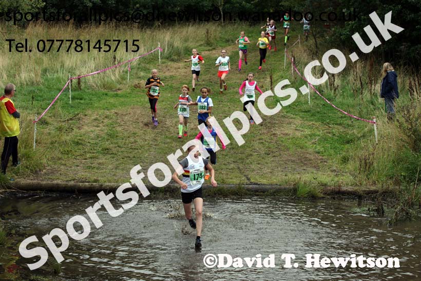 Girls under-11s, Start Fitness North Eastern Harrier League, Tanfield, County Durham. Photo: David T. Hewitson/Sports for All Pics